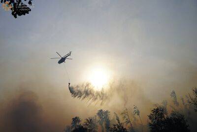 На Закарпатті рятувальники борються з масштабною лісовою пожежею