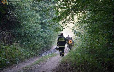 На Закарпатье потушили масштабный лесной пожар - korrespondent - Украина - Закарпатская обл.