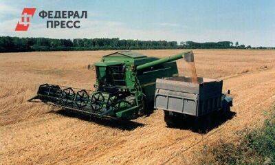 Россия в 2022 году соберет рекордный урожай зерновых