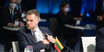 «Перемены происходят внутри». Глава МИД Литвы объяснил, почему важно запретить выдачу виз россиянам