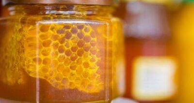 Как правильно сохранить мед надолго. Не делайте этих ошибок
