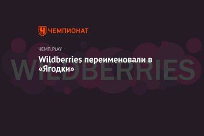 Татьяна Бакальчук - Популярный маркетплейс Wildberries переименовали в «Ягодки» - championat.com