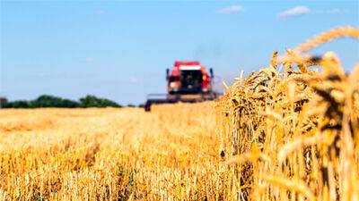 Ринок сільгоспземлі в Україні минулого тижня показав незначне зростання