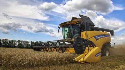 В мире вновь резко дорожают пшеница, рис и соя: что будет с ценами в Израиле