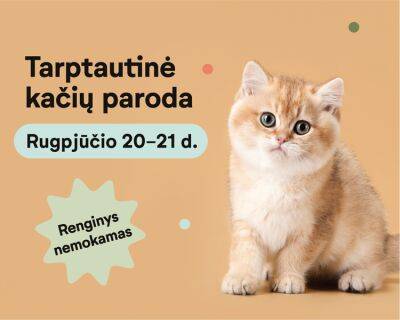 В Вильнюсе - международная выставка кошек