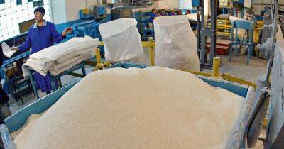 В Украине может значительно подорожать сахар, в стране не будет работать треть производителей