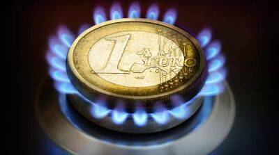 Цены на газ в Европе выросли до максимума с марта 2022 года