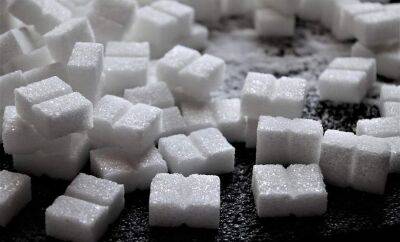 Совмин продлил лицензирование на вывоз сахара на полгода с 18 августа