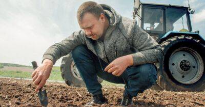 Денис Шмыгаль - Кабмин выделил 1,5 млрд гривен на дотации аграриям: кто может получить деньги (видео) - focus.ua - Украина
