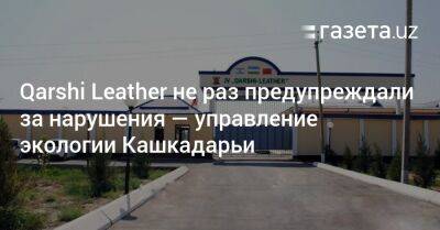 Qarshi Leather неоднократно предупреждали за нарушения — управление экологии Кашкадарьи