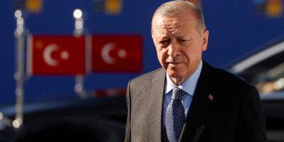Эрдоган хочет обсудить с Зеленским «дипломатический путь» прекращения войны