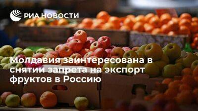 Санду заявила, что Молдавия заинтересована в снятии запрета на экспорт фруктов в Россию