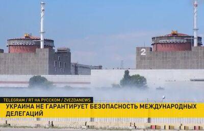 Киев не может гарантировать безопасность делегации МАГАТЭ, если она посетит Запорожскую АЭС - ont.by - Россия - Украина - Киев - Львов - Белоруссия - Турция