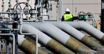 У Германии не хватит газа и на 3 месяца, если РФ прекратит поставки, — Bloomberg
