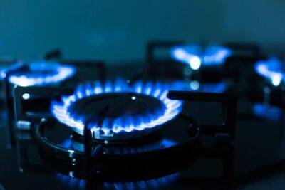 В Нафтогазе рассказали, какой будет цена газа для украинцев зимой