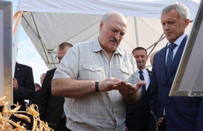 Александр Лукашенко - «Ни одной мыши!» Лукашенко рассказал, как избавиться от грызунов - ont.by - Белоруссия - район Смолевичский