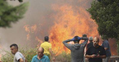 Лесные пожары в Испании: огонь перекинулся на поезд, пострадали около 20 человек (фото)