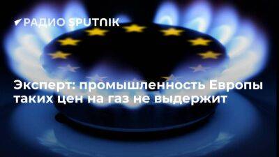 Эксперт: промышленность Европы таких цен на газ не выдержит