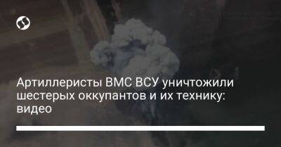 Артиллеристы ВМС ВСУ уничтожили шестерых оккупантов и их технику: видео - liga.net - Украина
