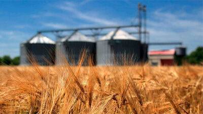 Зеленський підписав закон про скасування мита на імпорт обладнання для зберігання зерна