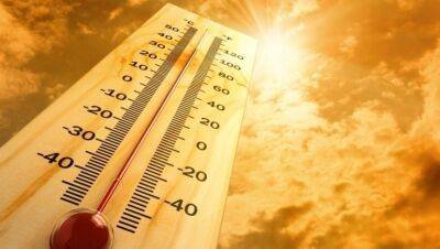 В Литве второй раз в этом году зарегистрировано природное явление – аномальная жара