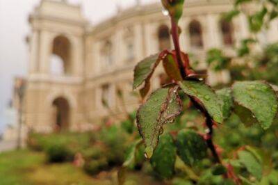 Погода в Одессе 18 августа: третий день дождь с грозой | Новости Одессы