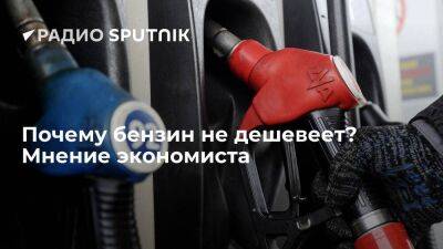 Владимир Рожанковский - Почему бензин не дешевеет? Мнение экономиста - smartmoney.one - Россия - США - Европа