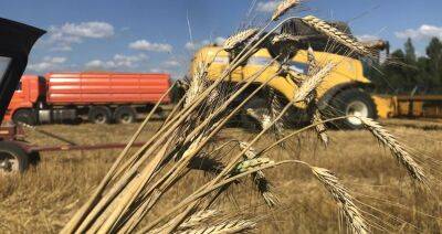 В Беларуси намолотили 5,7 млн тонн зерна