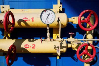 Клаус Мюллер - Запасов газа в Германии хватит менее чем на три месяца - obzor.lt - Россия - Украина - Германия - Ес