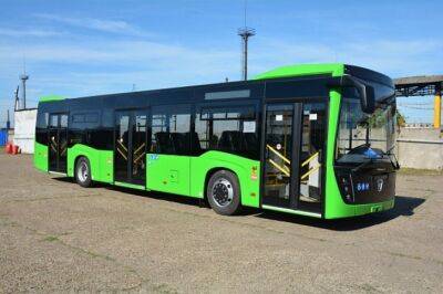 Во вторую неделю августа лидером рынка автобусов впервые стал «НЕФАЗ»