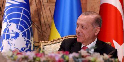 Во Львове Эрдоган предложит Зеленскому организовать его встречу с Путиным — СМИ