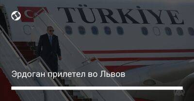 Эрдоган прилетел во Львов