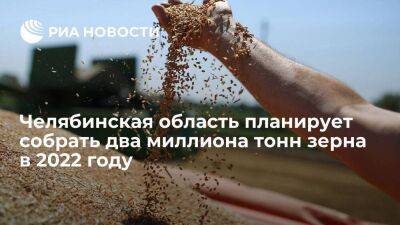 Челябинская область планирует собрать около двух миллионов тонн зерна в 2022 году