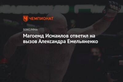 Магомед Исмаилов ответил на вызов Александра Емельяненко