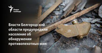 Власти Белгородской области предупредили население об обнаружении противопехотных мин