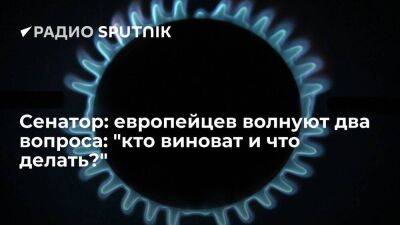 Сенатор Васильев: цены на газ в Европе могут продолжить рост