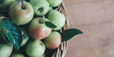 Яблочный Спас. Поздравления и открытки с праздником Преображения Господнего
