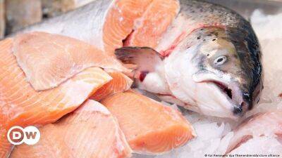 Рыба вместо мяса. В пандемию немцы чрезвычайно увлеклись морепродуктами