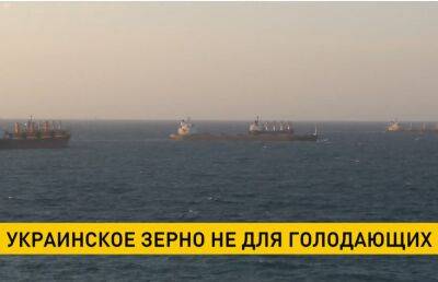 Корабли с украинским зерном чаще уходят в Европу, а не в беднейшие страны