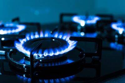 Федеральное правительство намерено снизить НДС на газ