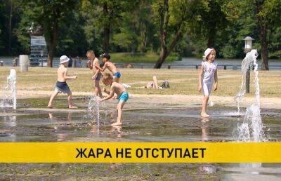 Жара испытывает белорусов: во многих районах оранжевый уровень опасности – температура поднимется до 32°C
