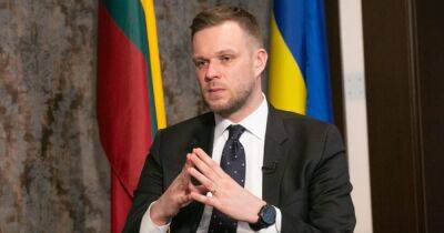 Литва призвала прекратить действие долгосрочных виз россиян до окончания войны
