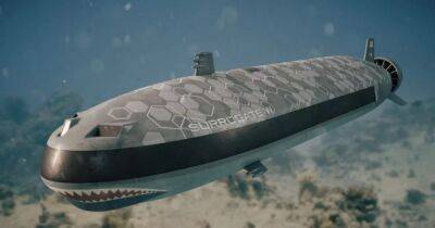 Представлен российский подводный беспилотник "Суррогат-В": что он умеет