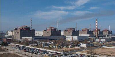 Ядерный регулятор запретил запуск энергоблоков двух первых энергоблоков Запорожской АЭС - biz.nv.ua - Украина