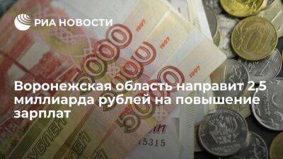 Владимир Нетесов - Более 2,5 миллиарда рублей направят в Воронежской области на повышение зарплат бюджетников - smartmoney.one - Россия - Воронеж - Воронежская обл.