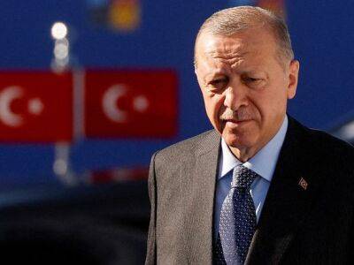 Эрдоган заявил, что Турция не собирается захватывать территорию Сирии