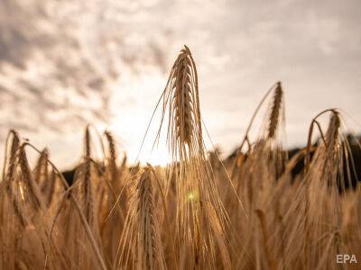 Более 23 млн тонн зерна нового урожая уже собрали украинские аграрии