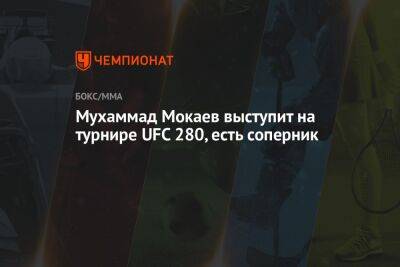 Мухаммад Мокаев выступит на турнире UFC 280, есть соперник