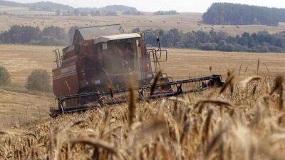 Минсельхоз Беларуси заявил, что страна не будет экспортировать зерно