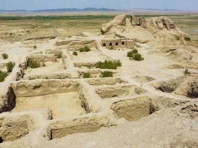 В Наманганской области местные власти разрешили снести археологический памятник, чтобы построить жилье